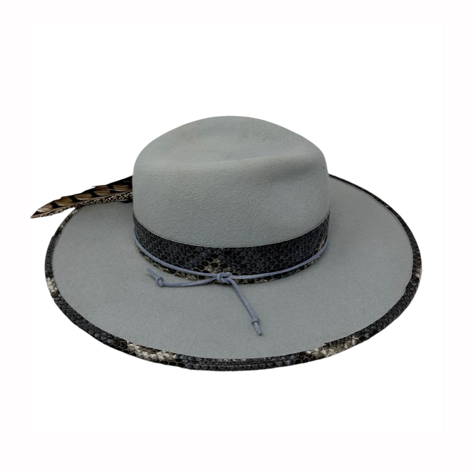 Blue Python Fedora