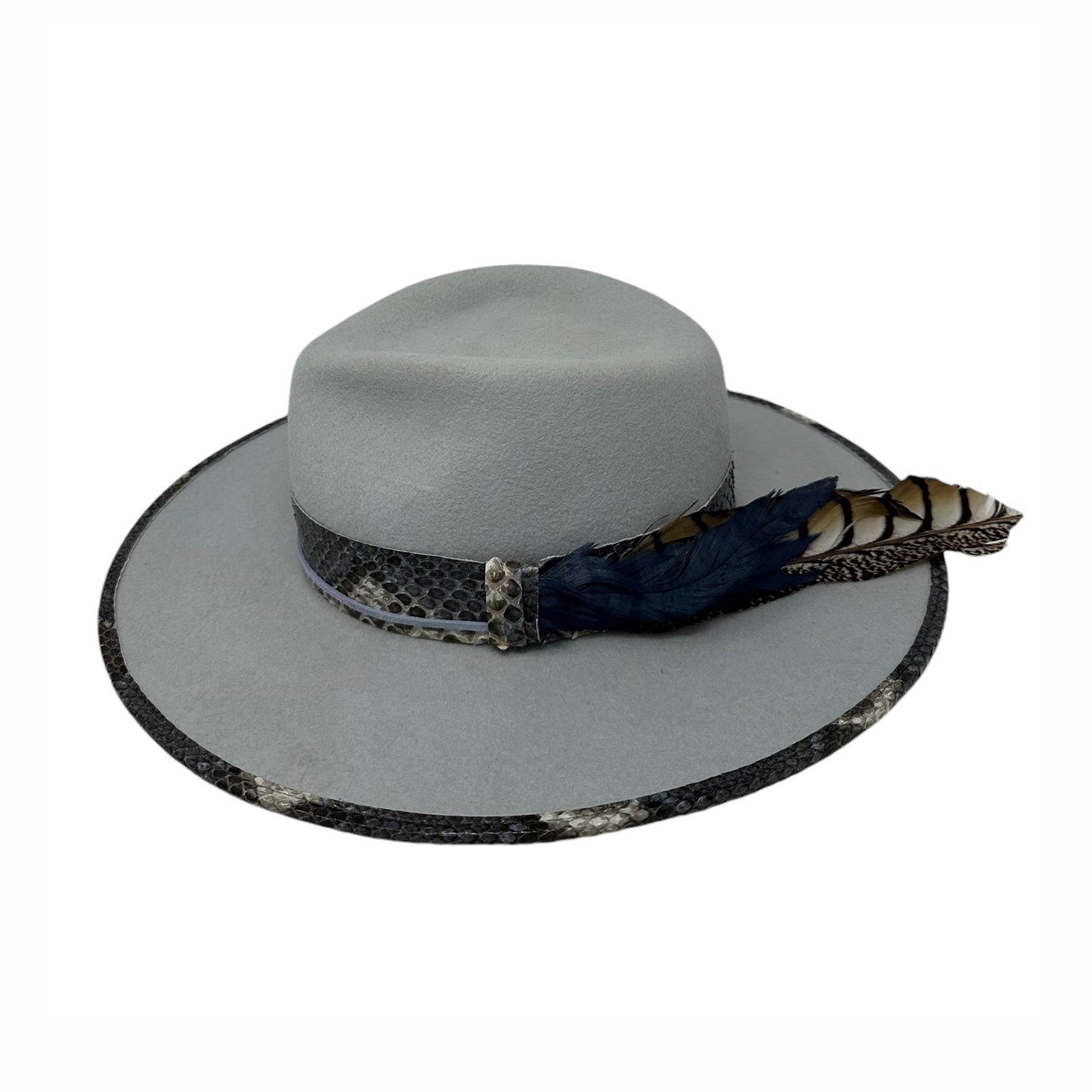 Blue Python Fedora