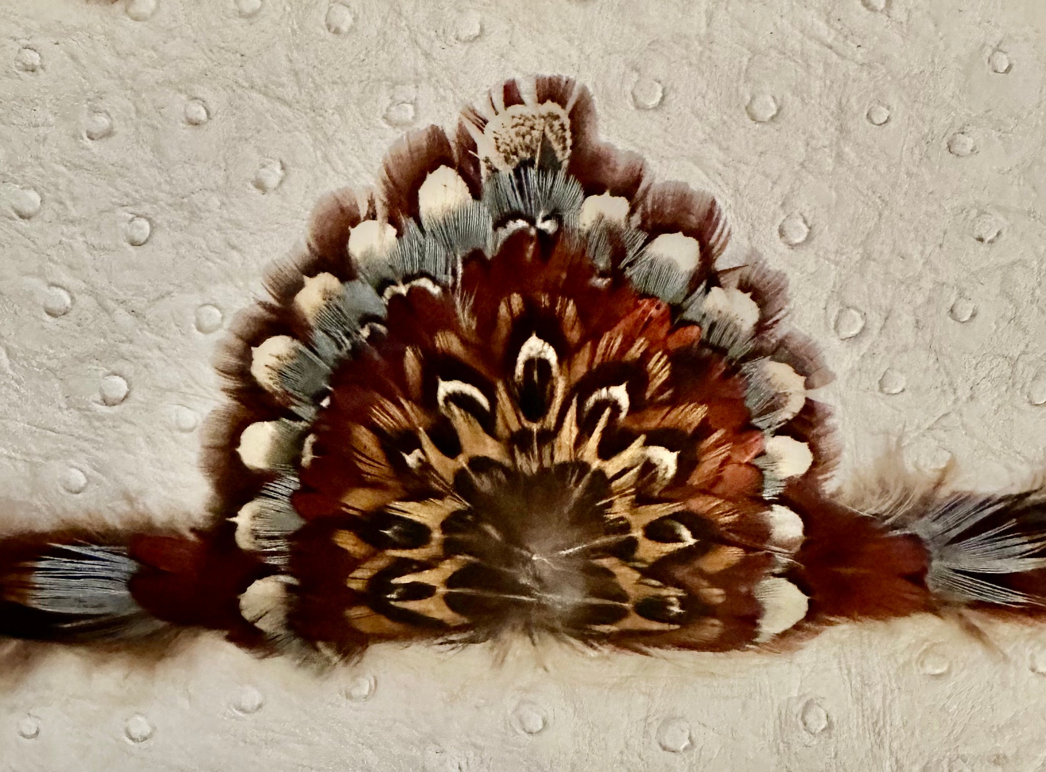 Crown Feather Hat Band